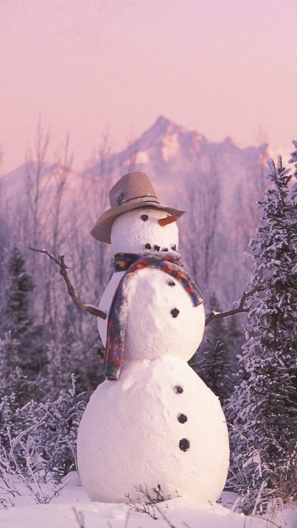 Зима снеговик