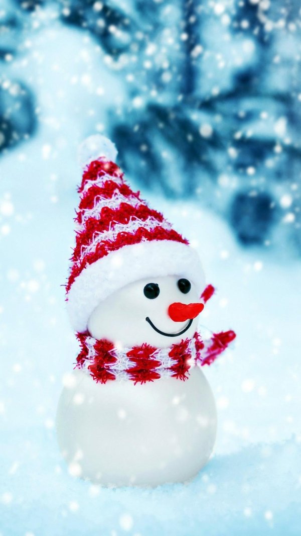 Зима снеговик