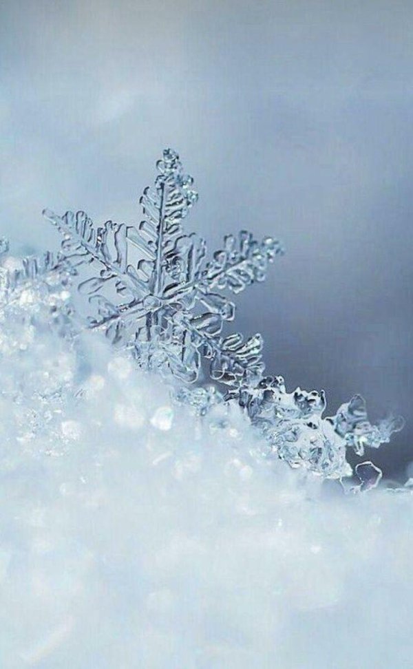 Снежинки зима