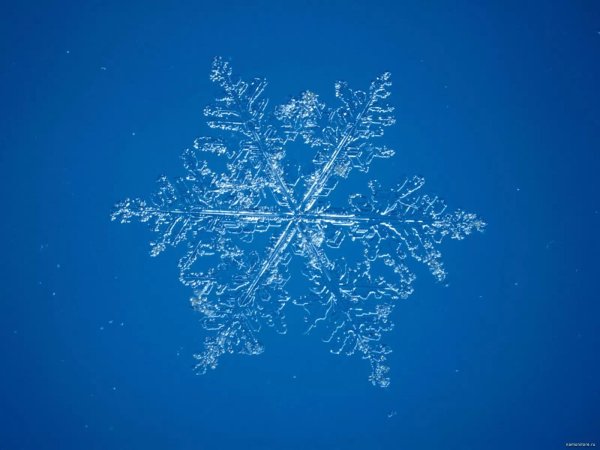 Снежинки зима