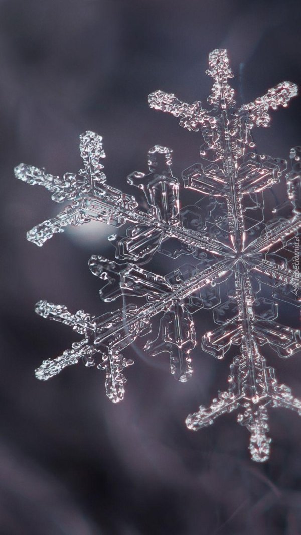Снежинки зима