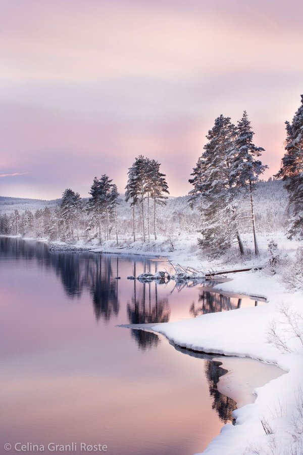 Нежные зима