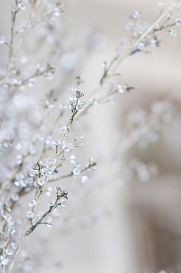 Нежные зима