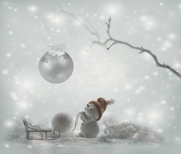 Нежные зима