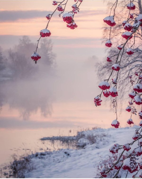 Нежные зима