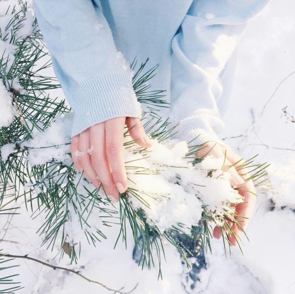 Нежные зима