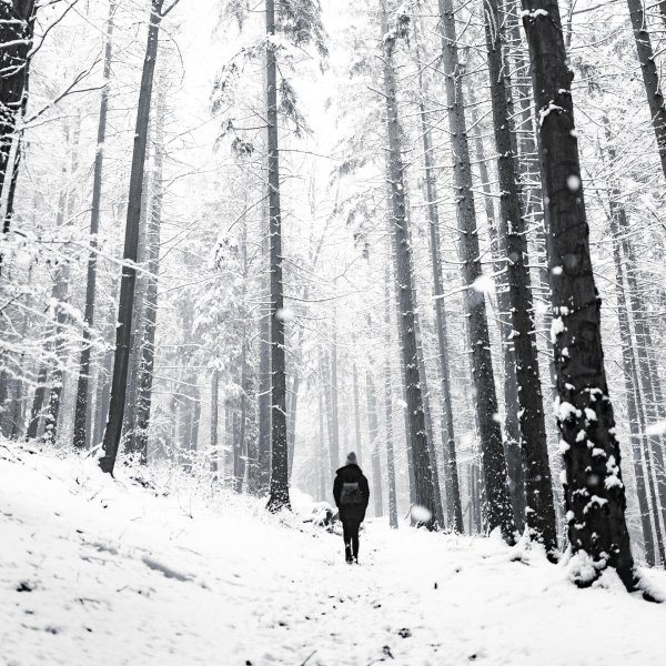 Зима одиночество