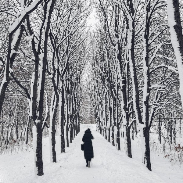 Зима одиночество