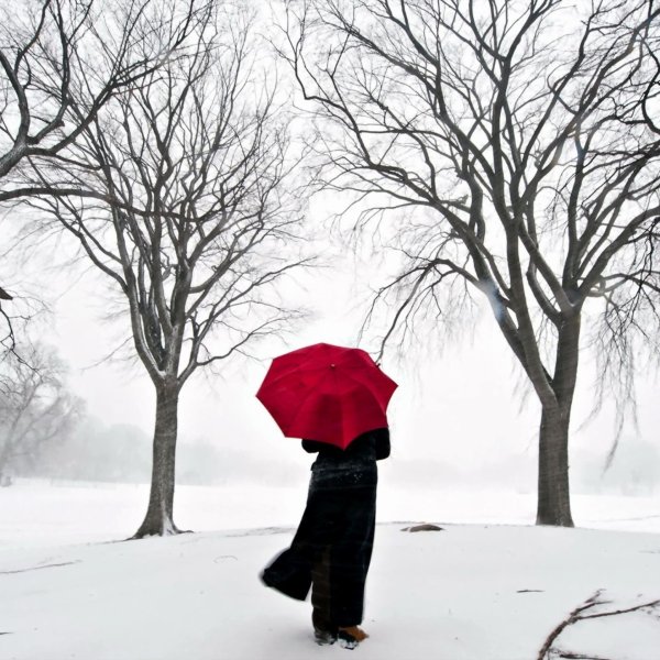 Зима одиночество