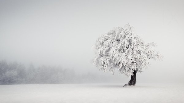 Зима одиночество