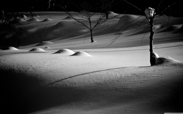 Зима одиночество