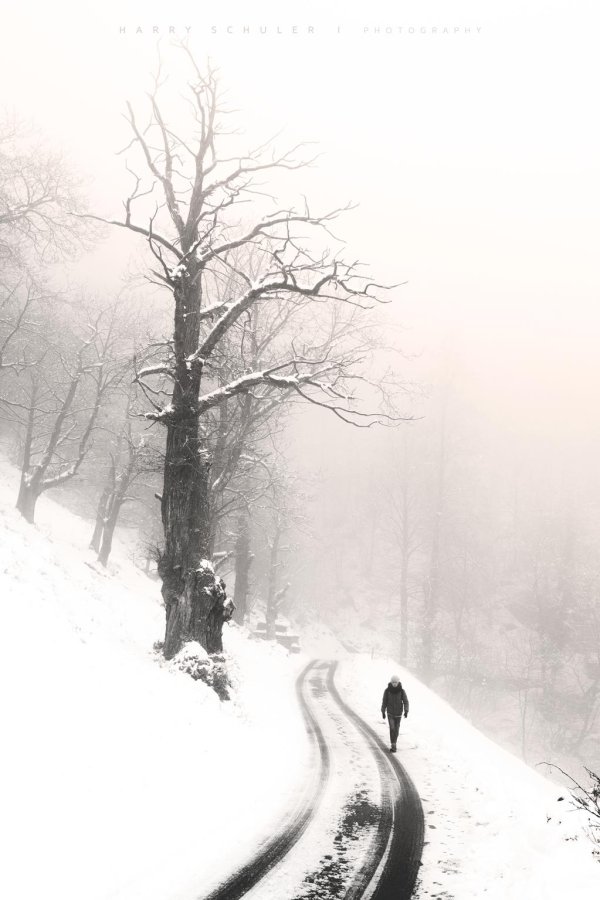 Зима одиночество