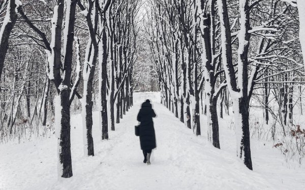 Зима одиночество