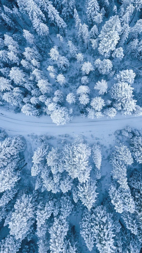 На экран телефона зима