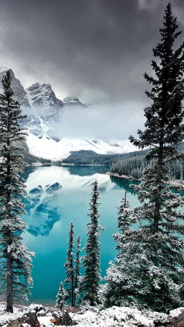 На экран телефона зима