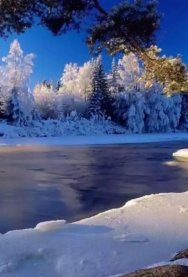 На экран телефона зима