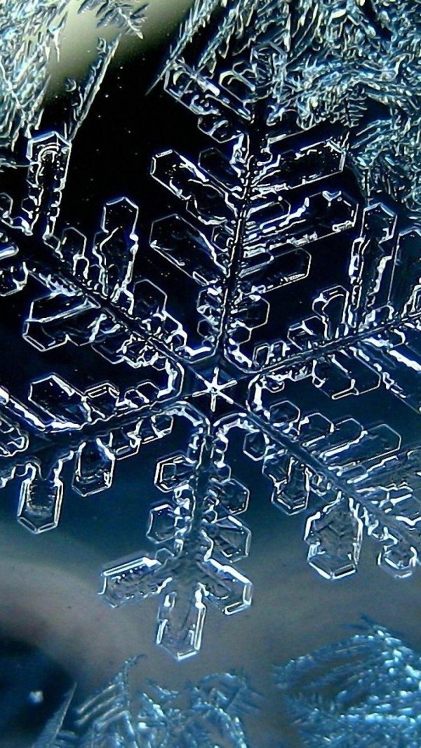 На экран телефона зима