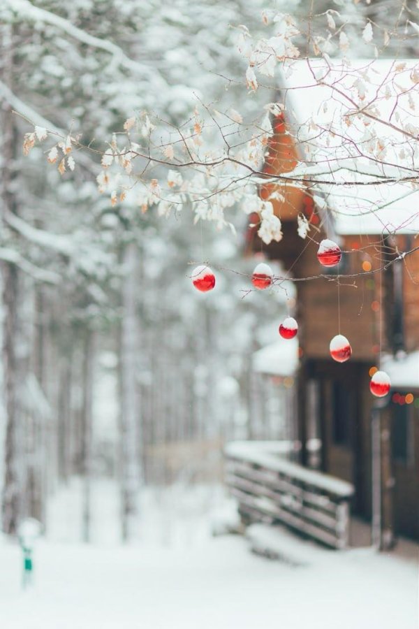 Уютная зима