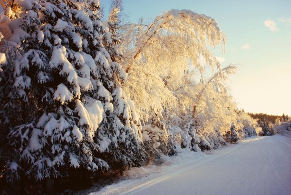 Морозная зима