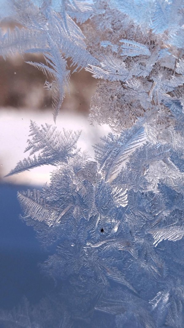 Морозная зима