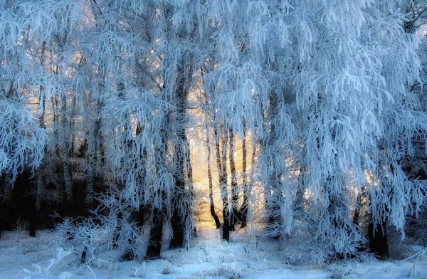 Морозная зима