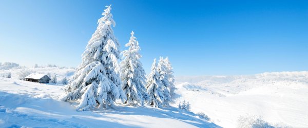 Морозная зима