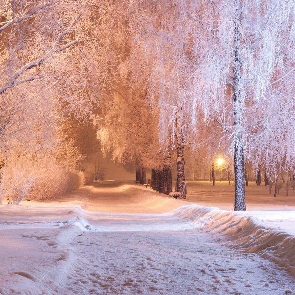 Морозная зима