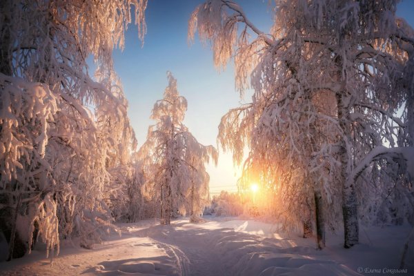 Морозная зима