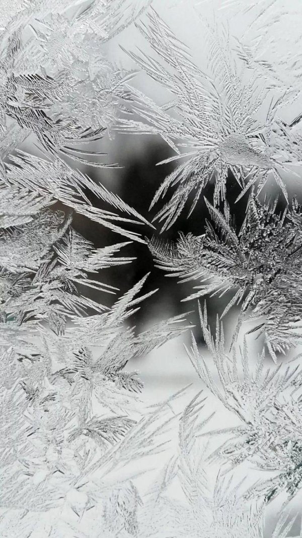 Морозная зима