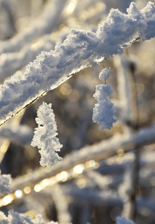 Морозная зима