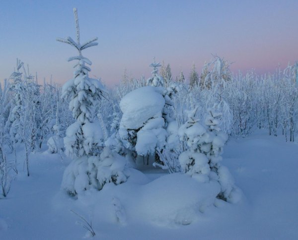 Морозная зима