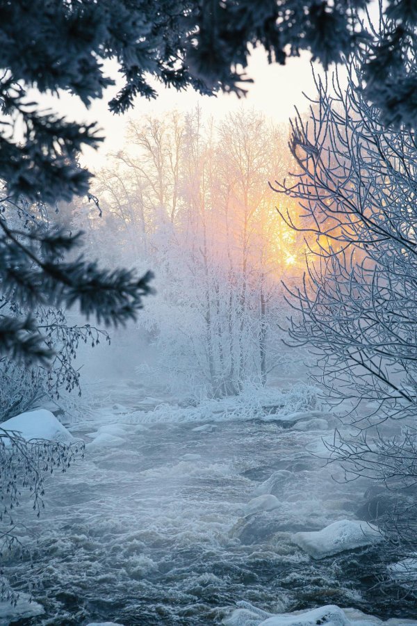 Морозная зима