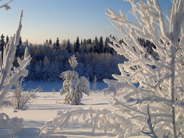 Морозная зима