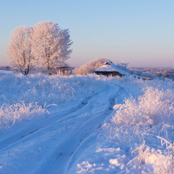 Морозная зима