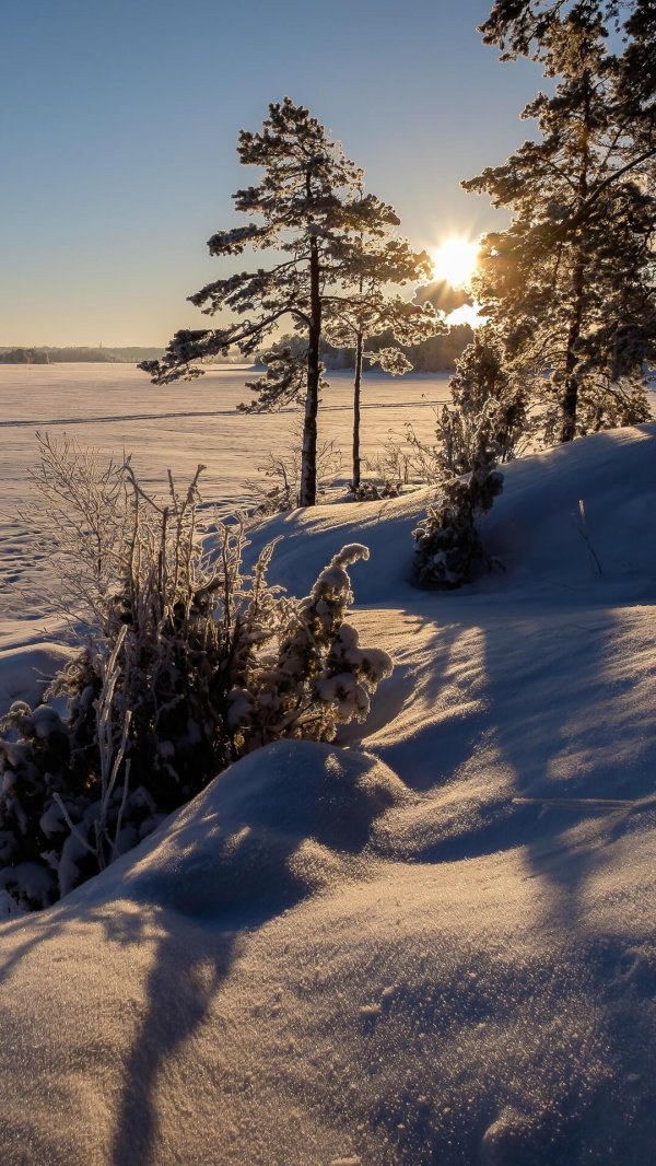 Морозная зима