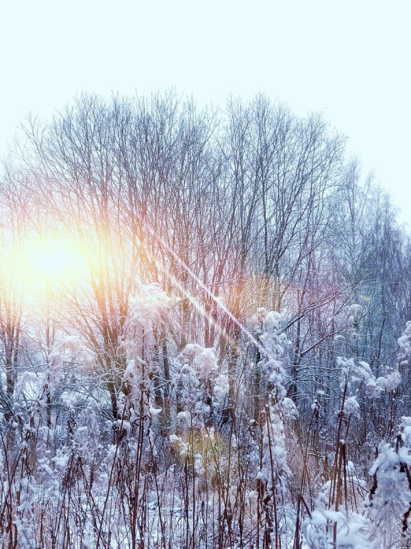 Морозная зима