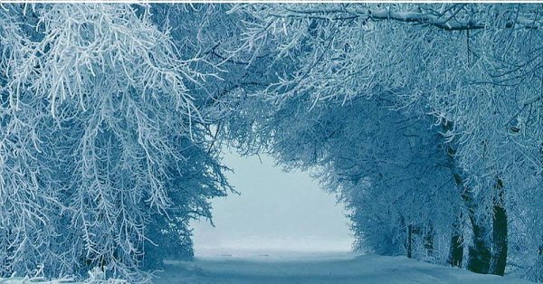 Морозная зима