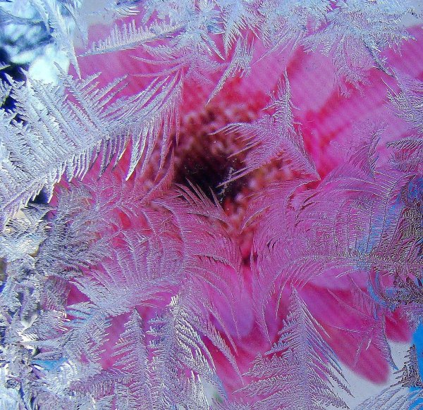 Морозная зима