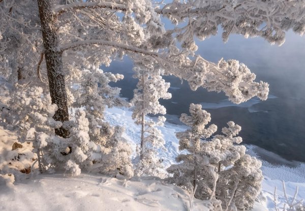 Морозная зима