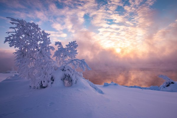 Морозная зима