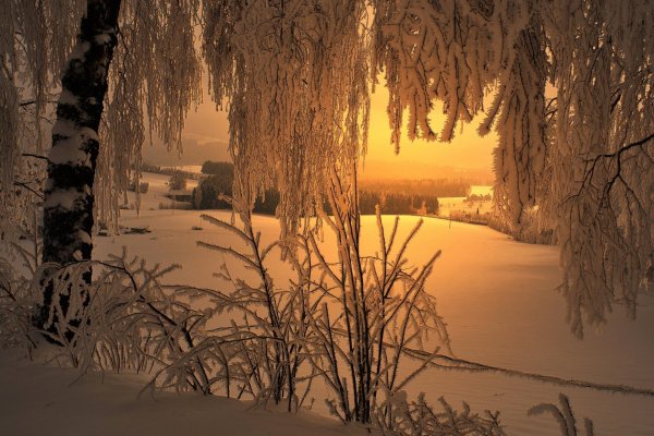 Морозная зима