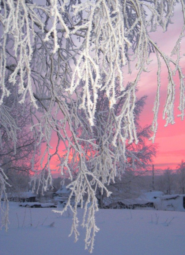 Морозная зима