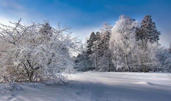 Морозная зима