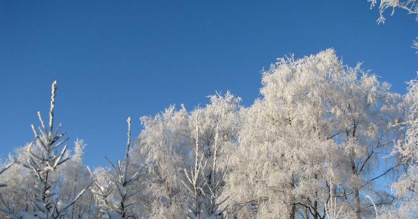 Морозная зима