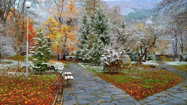 Ранняя зима