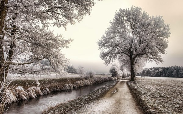 Ранняя зима