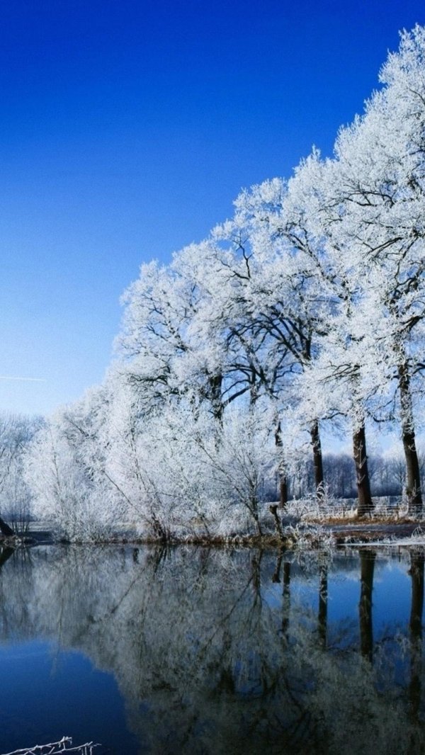 Ранняя зима