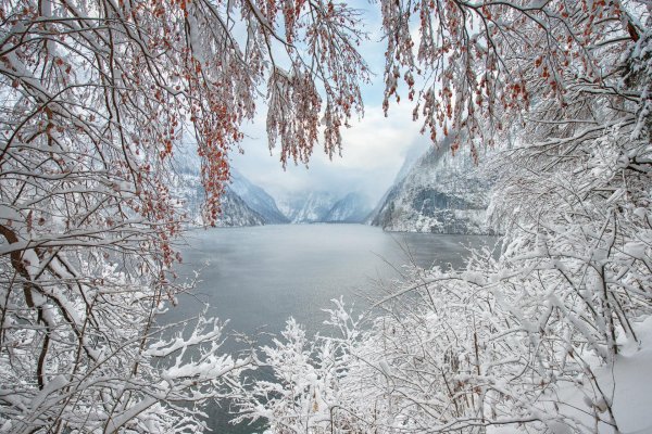 Ранняя зима