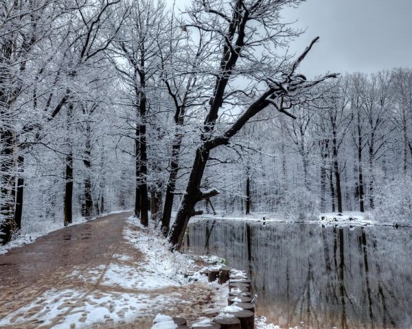 Ранняя зима