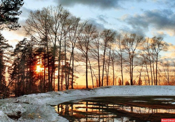 Ранняя зима